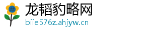 龙韬豹略网